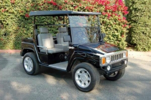 affordable golf cart rental, golf cart rent north dakota golf cart rental